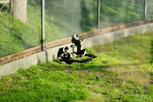 A esto también se lo conoce como hacer la lagartija
