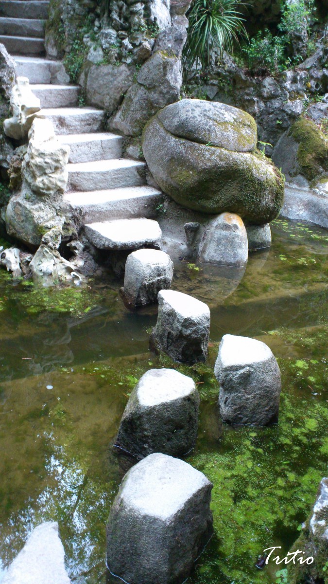 boing! boing! boing! splotch!