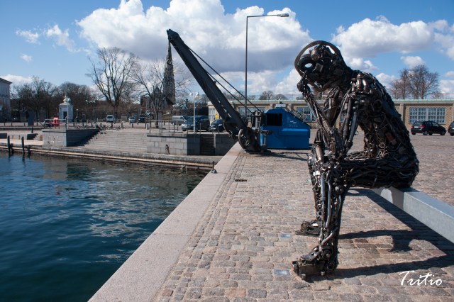 Pensando cómo funciona el cuerpo