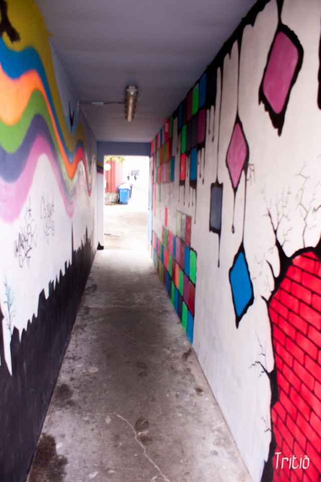 Atraviesa el pasillo del color.